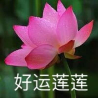 郑爽电视剧出品公司股权被冻结，郑爽未履行金额超1.2亿